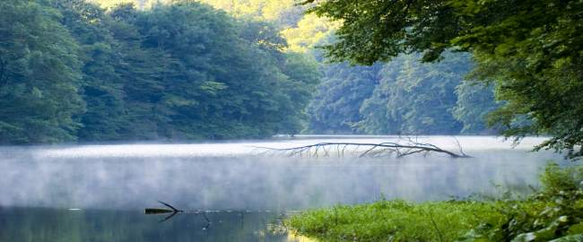 healthy environments