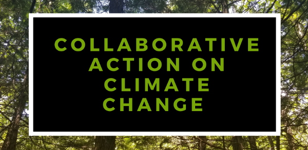 Collaborative Action on Climate Change Image