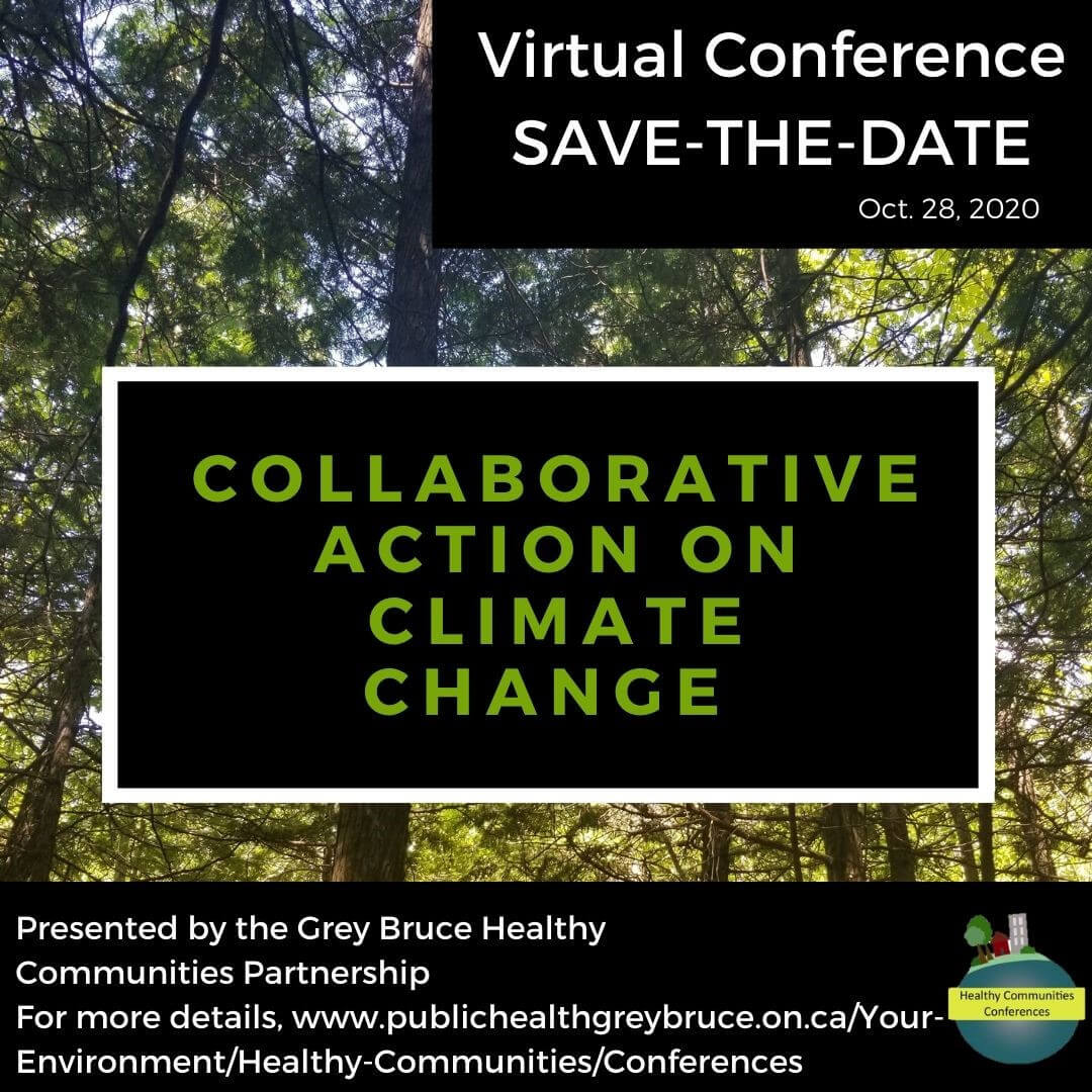 Virtual Conference Save the Date Logo Virtual Conference Save the Date Logo