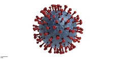 image of microscopic virus image of microscopic virus