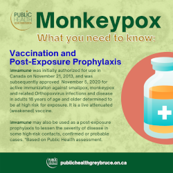 Monkeypox symptoms infographic