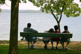Park Bench