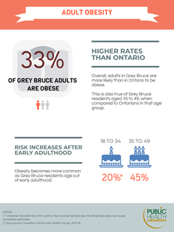 33% of adults in Grey Bruce are obese. Overall, adults in Grey Bruce are more likely than in Ontario to be obese