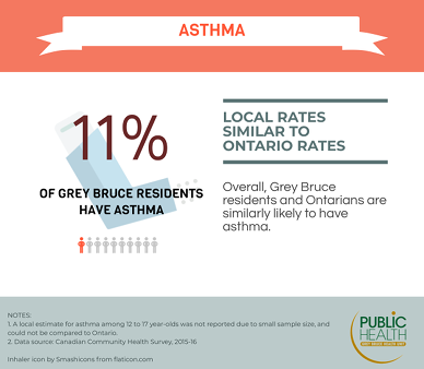 11% of Grey Bruce residents have asthma. Grey Bruce residents and Ontarians are similarly likely to have asthma