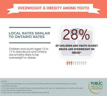 28% of youth in Grey Bruce are overweight or obese. Youth in Grey Bruce and Ontario are similarly likely to be overweight or obese