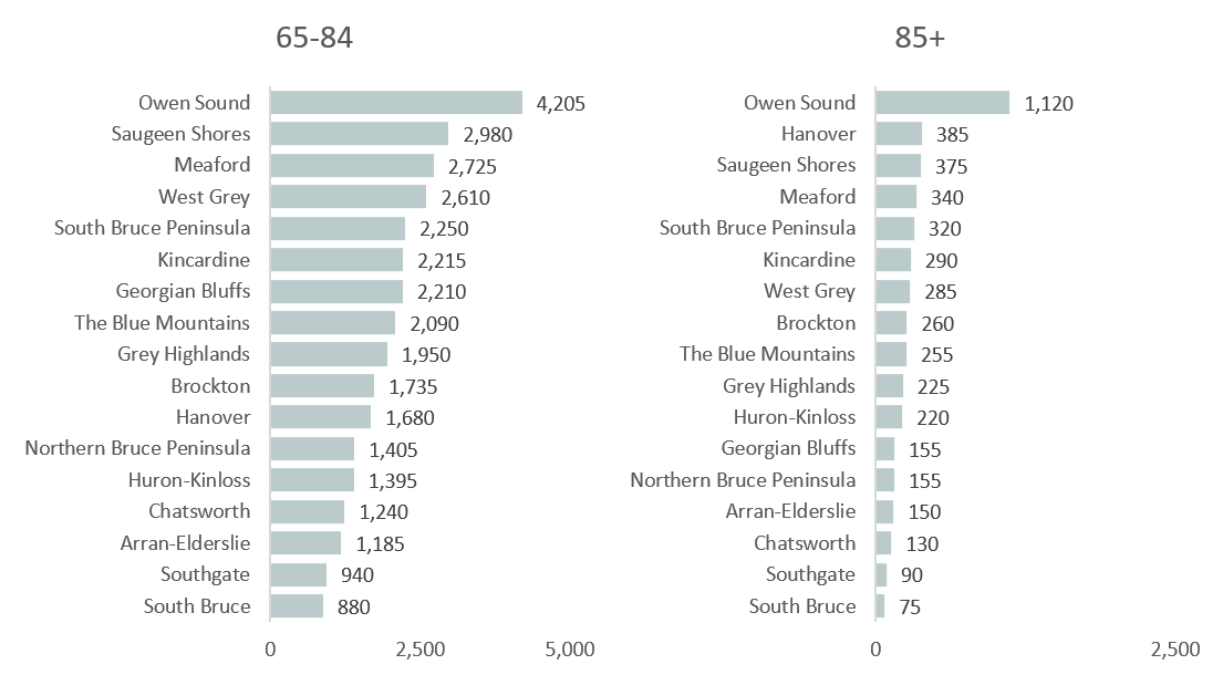 Figure 3. Number of Older Adults Aged 65-84 and 85+, Grey Bruce Municipalities, 2016